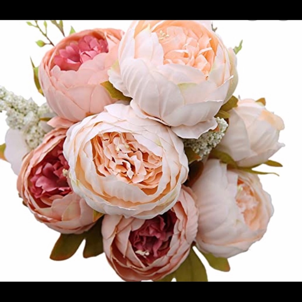 Meet your Posher, J.